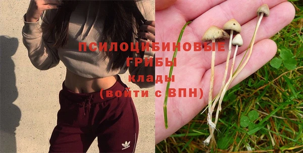 стафф Сосновый Бор