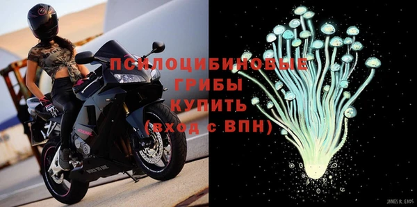 стафф Сосновый Бор
