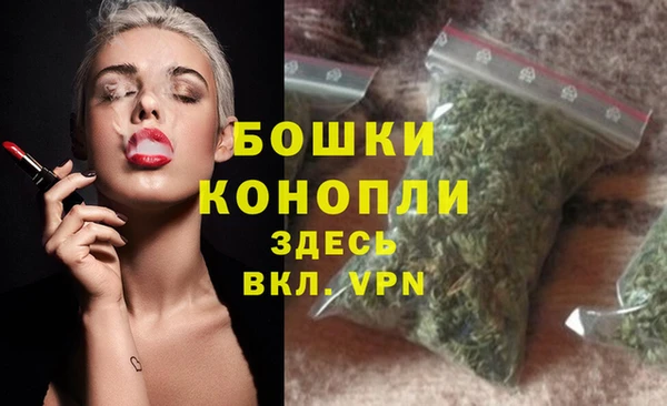 стафф Сосновый Бор
