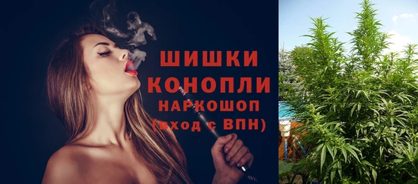 стафф Сосновый Бор