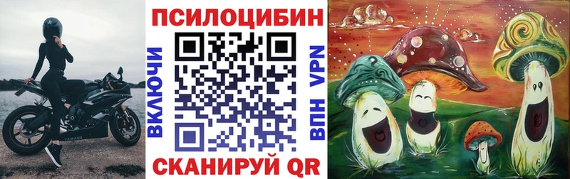 MEGA   купить   Выкса  Псилоцибиновые грибы Cubensis 