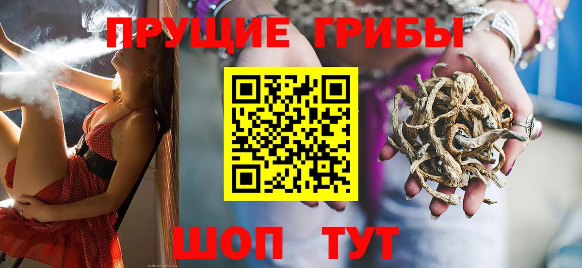 Выкса  Псилоцибиновые грибы Psilocybine cubensis  Псилоцибиновые грибы прущие грибы  купить   Вход с VPN 