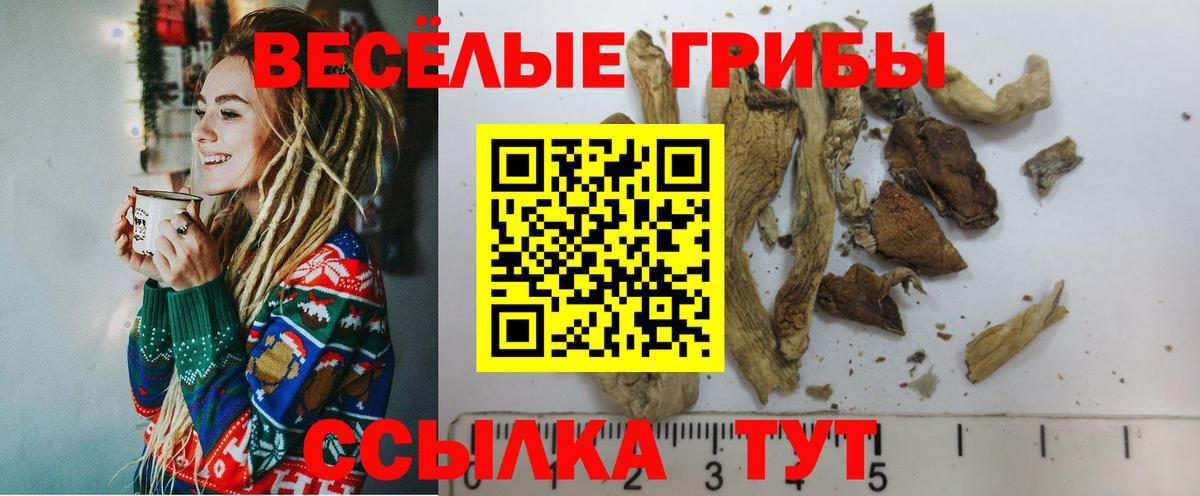 Псилоцибиновые грибы мухоморы Выкса